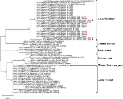 Outbreak of Severe Acute Respiratory Syndrome Coronavirus-2 B.1.620 Lineage in the General Hospital of <mark class="highlighted">Jeju</mark> Island, Republic of Korea